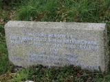 image of grave number 478060